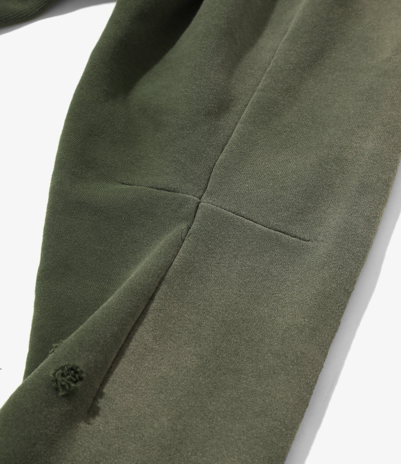 올리브 이미지 5