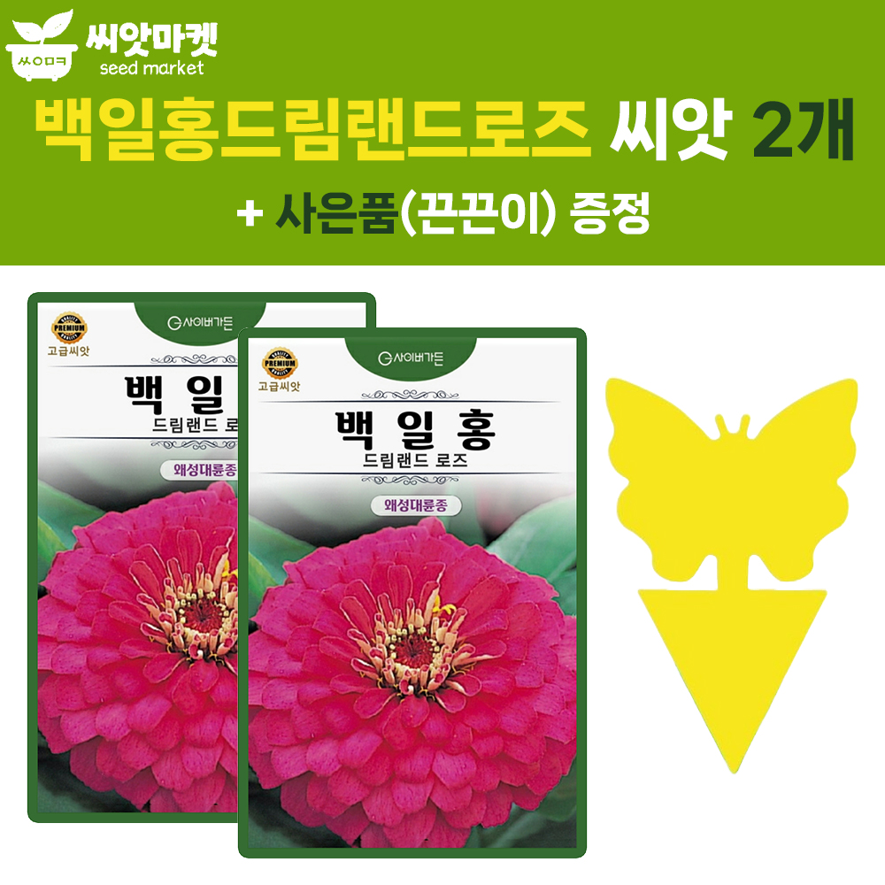 백일홍 씨앗 10립 드림랜드 로즈 백일홍 왜성겹꽃 꽃씨 종자 2개+끈끈이1p : 양동씨앗마켓