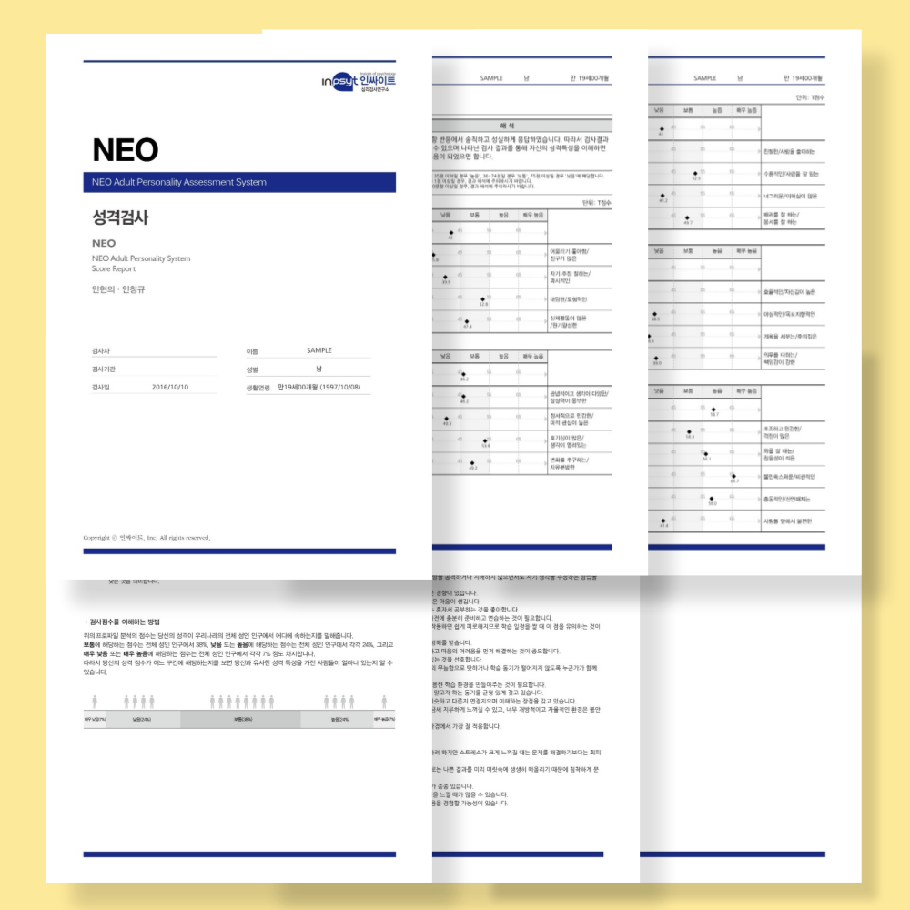 BIG5 성격검사 헥사코 테스트 HEXACO 네오 NEO 검사 온라인 심리검사 - 상품 이미지