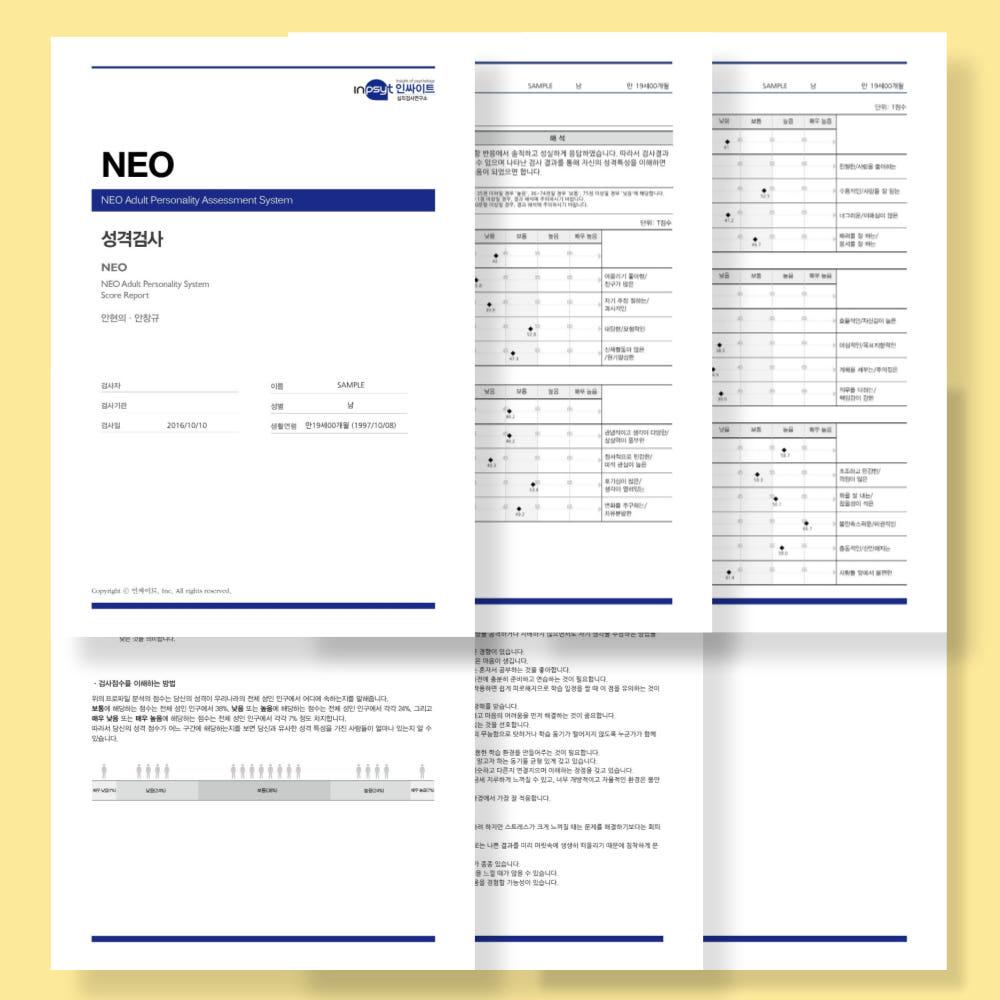 BIG5 성격검사 헥사코 테스트 HEXACO 네오 NEO 검사 온라인 심리검사 가격 추이 위드인사이트 심리검사 BIG5 성격검사 헥사코 테스트 HEXACO 네오 NEO 검사 온라인 심리검사 - 최저가 17,200원