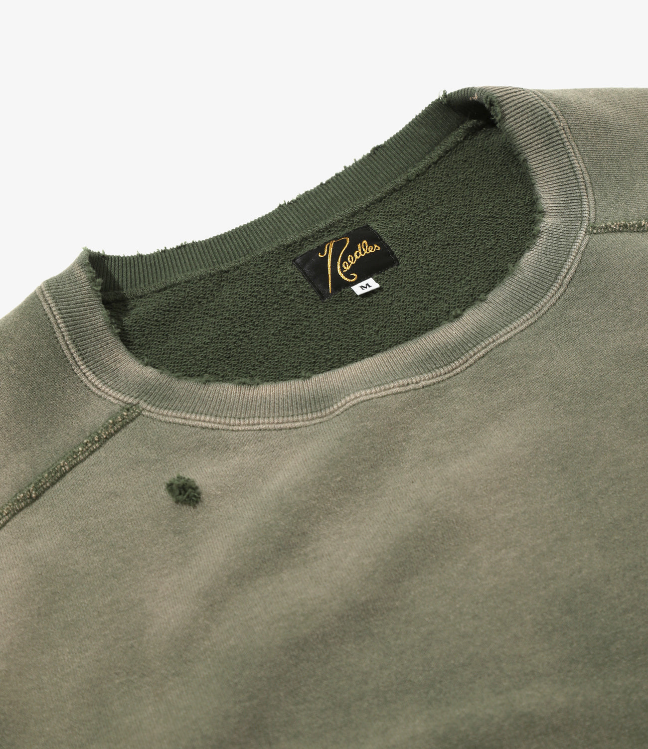 올리브 이미지 3