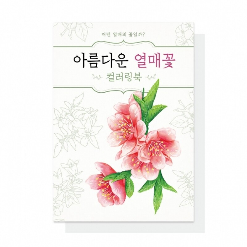 어르신 치매예방 색칠북 아름다운 열매꽃 컬러링북 - 상품 이미지