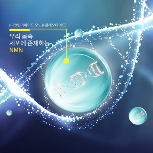 골든프라임 프리미엄 리포좀 NMN 120정 3병 12개월 엔엠엔 브로콜리 니코틴산아미드 이미지 6