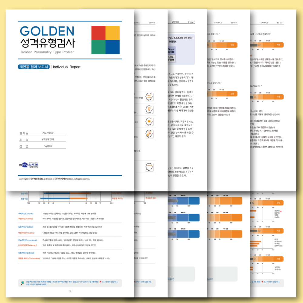 GOLDEN 골든성격유형검사 (MBTI 고급형 + BIG5 스트레스)