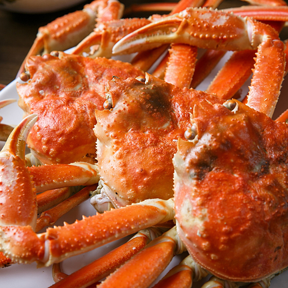 러시아 대게 3kg 당일자숙 당일발송 - 상세 이미지 5