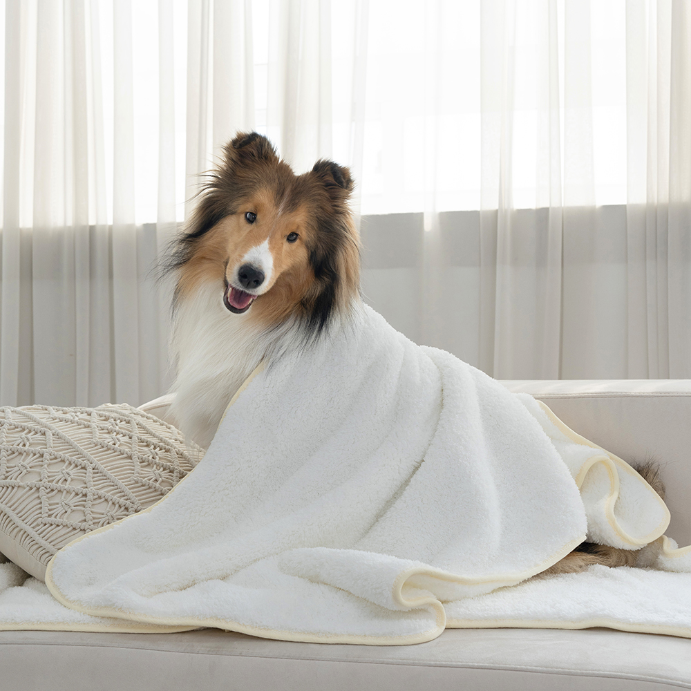강아지 고양이 애견 극세사 펫타올 강아지수건 목욕 자이언트 M - 상세 이미지 4
