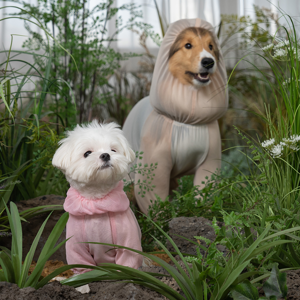 강아지 해충방지 여름옷 대형견 진드기 망사 버그가드 수트 옐로우 2XL 이미지 4