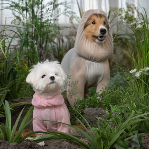 강아지 해충방지 여름옷 대형견 진드기 망사 버그가드 수트 옐로우 2XL 솔직 후기 | 실제 사용자 리뷰 총정리 - 상품 이미지 4