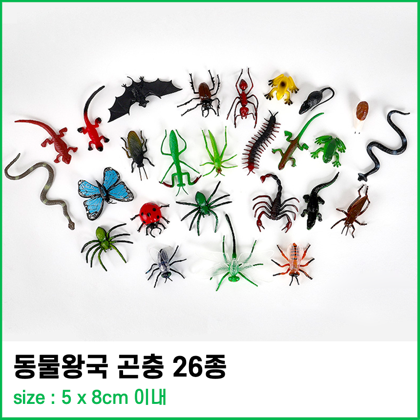 곤충 피규어 장난감 모형 풍뎅이 사마귀 거미 이미지 6