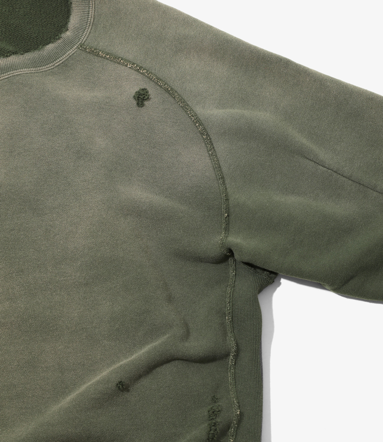 올리브 이미지 4