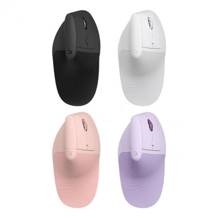앱코 WEM65 인체공학 WIRELESS FREE 무선 버티컬 (화이트)