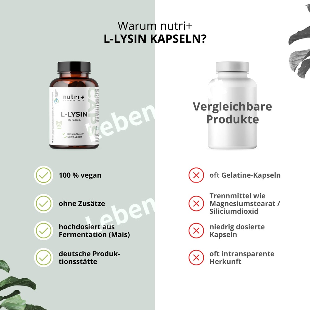 누트리플러스 필수아미노산 식물성 2200mg 120캡슐 - 상세 이미지 4