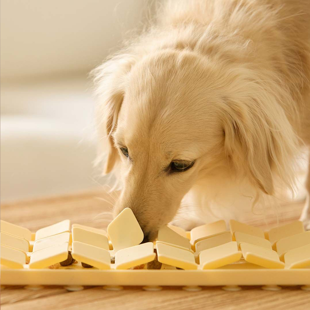 뮤트 퍼즐 노즈워크 매트 옐로우 - 상세 이미지 3