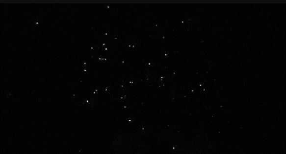 보홀 반딧불 투어 자유 여행 보홀션 (단독차량, 단독 전담가이드, 샤인기프트팩 포함)