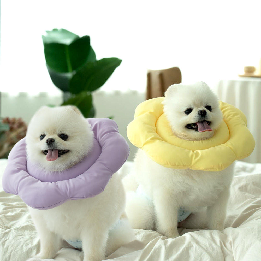 강아지 넥카라 고양이 쿠션 애견 깔대기 목보호대 중성화 넥카라 마리카라XS 제품 이미지