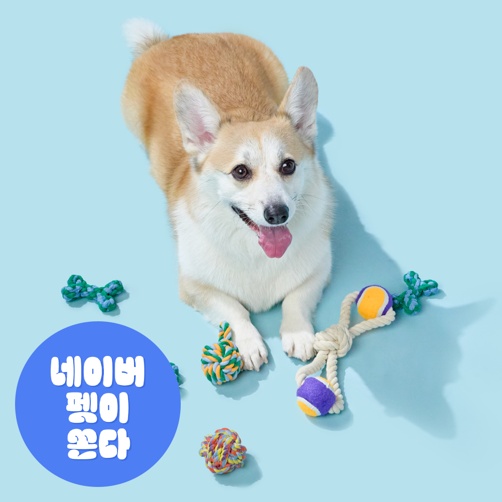 [강형욱X퍼피즈] 애착 로프 터그, 소형견 중형견 대형견 이갈이 스트레스 해소 장난감