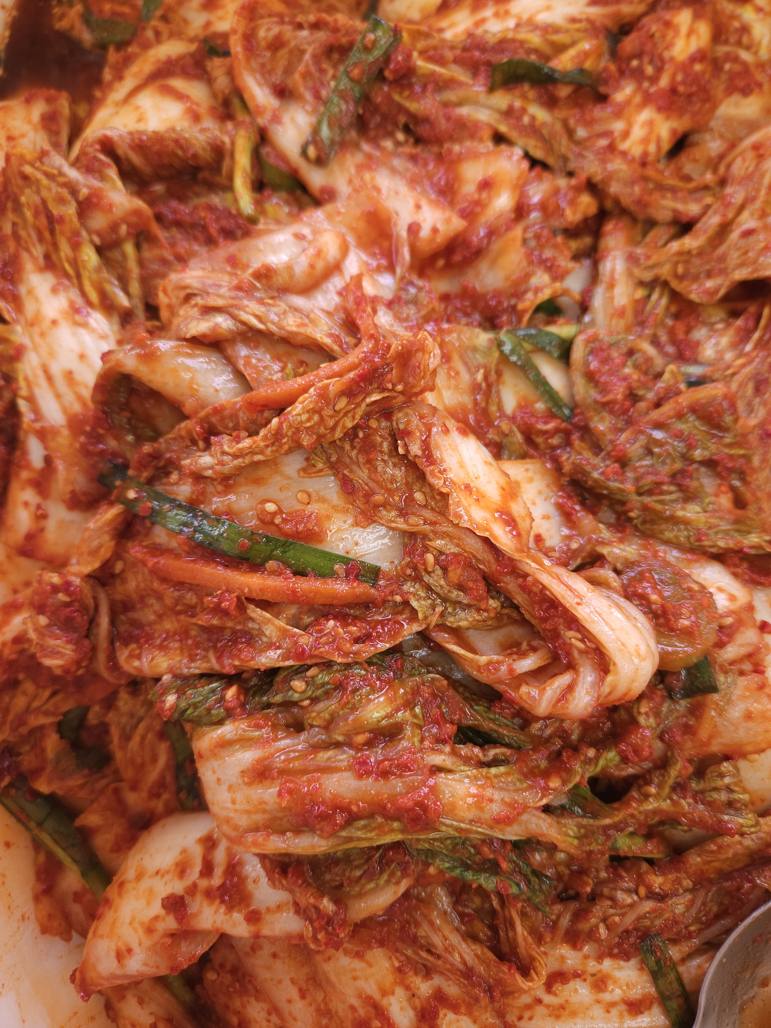 맛있어서 줄서는 전라도 배추 겉절이 김치 1kg 국내산 배추맛김치 주문 - 상세 이미지 3
