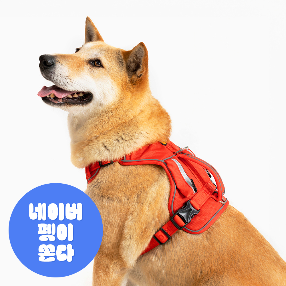 강아지 하네스 앞섬방지 가슴줄 대형견 하네스 H형 빅네스
