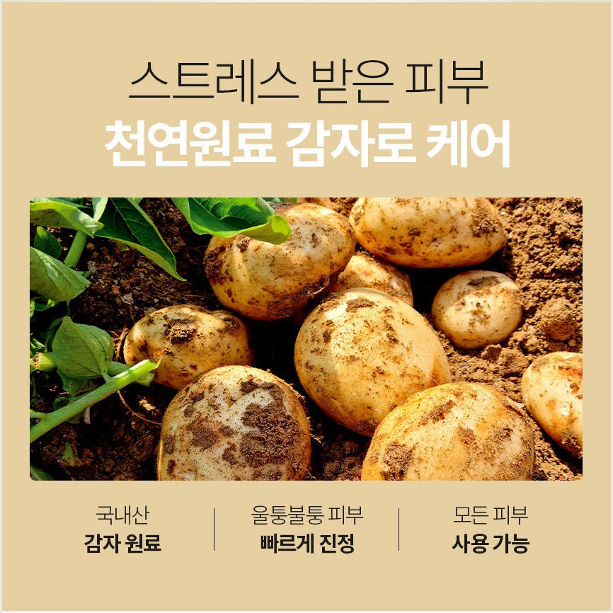 일초픽 감자수분크림 속건조 미백주름 보습영양크림 - 상세 이미지 3