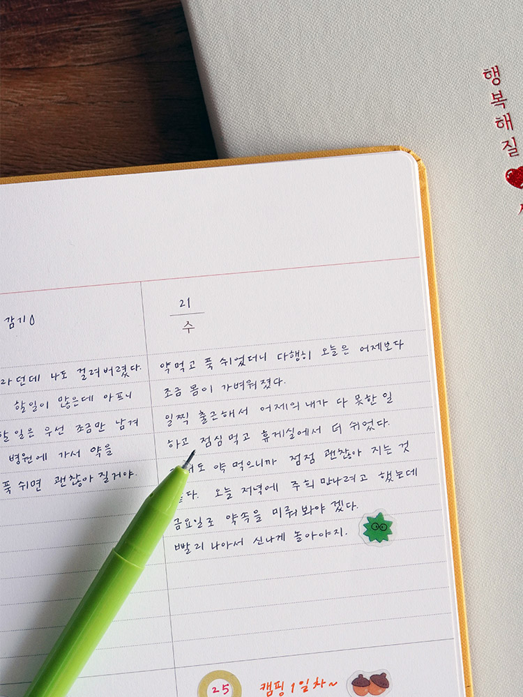 리훈 하고싶은말 만년필 다이어리 위클리 일기 만년다이어리 한솔플러스