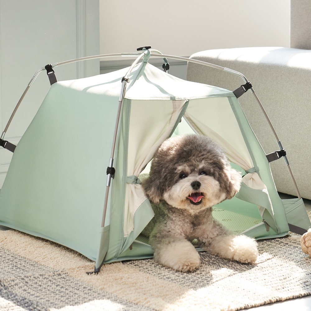 따수미펫 강아지집 애견 텐트 하우스 고양이 숨숨집 소형견 대형견 민트, S