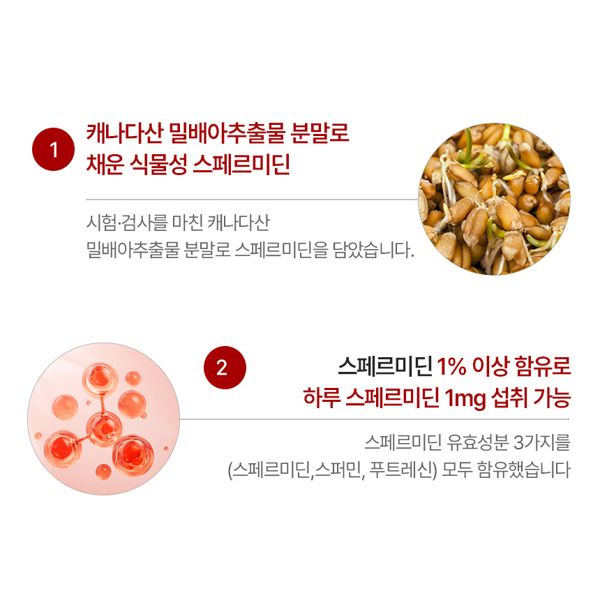 밀배아추출물 스퍼미딘 스페르미딘 60정 3개 - 상세 이미지 3