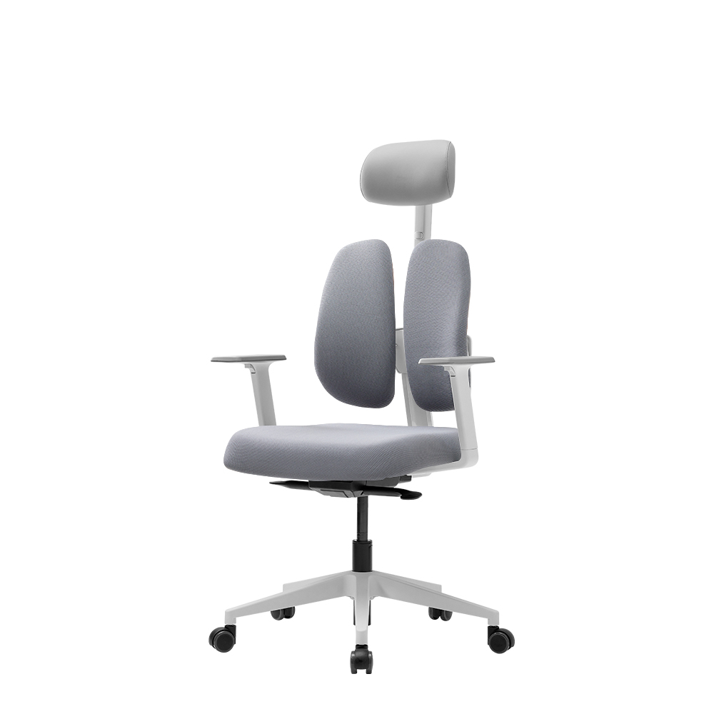 [10%더적립]듀오백 D2500G-ASW 사무용 컴퓨터 책상 의자 - 상품 이미지