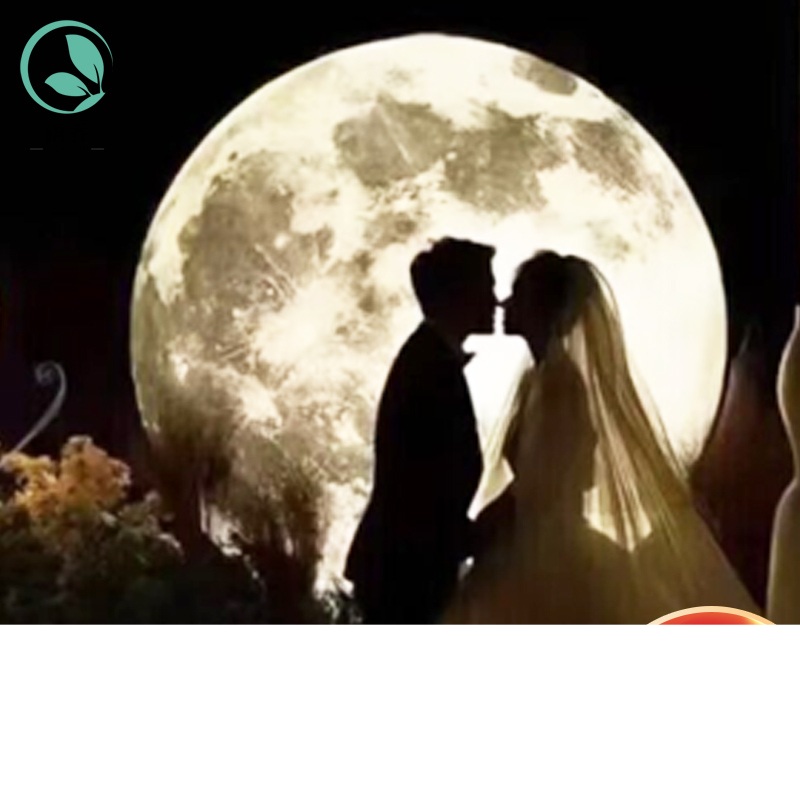 대형 달조명 펜던트 보름달 야외 가든 수면등 수유등 2m-따뜻한 빛 - 상품 이미지