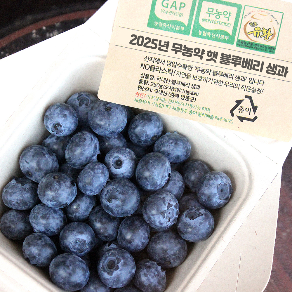 원뽀농원 블루베리, 국산 블루베리 생과, 무농약 블루베리 추천, 맛있는 블루베리, 건강한 간식