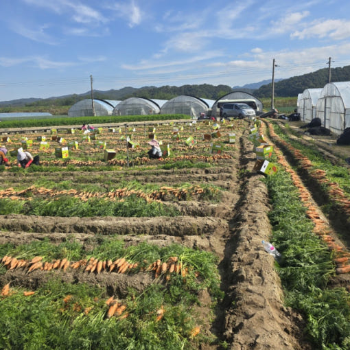thumbnail-8