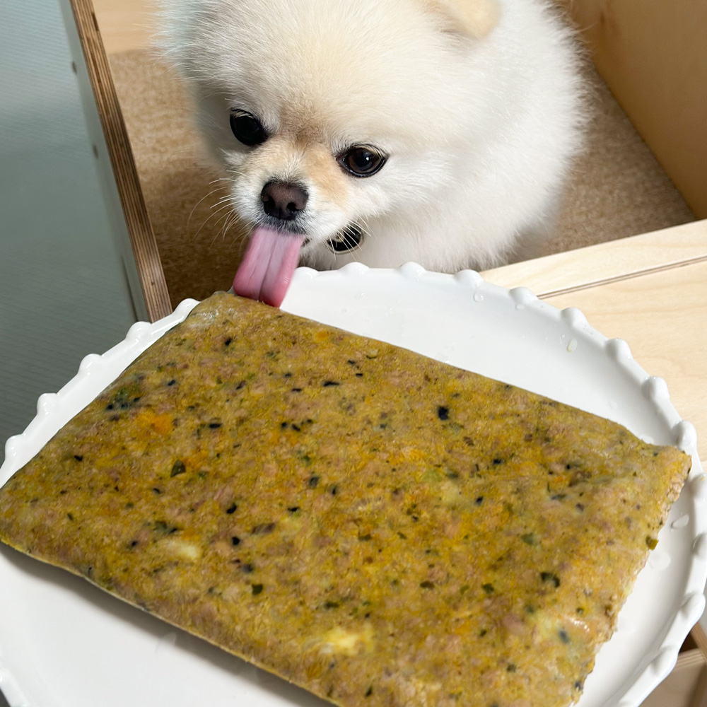 강아지화식 초신선 주문제조 오밀오밀 로우키친 대용량 노견 자연식 말고기, 500g, 1개