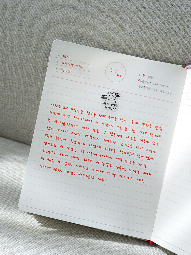 리훈 하고싶은말 만년필 다이어리 위클리 일기 만년다이어리 한솔플러스