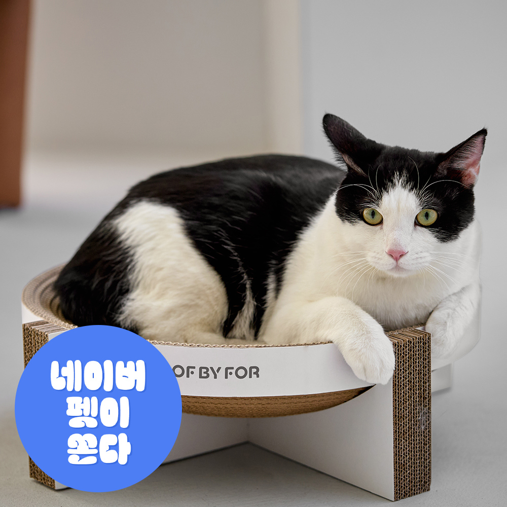 오브바이포 촘촘 스크래처 고양이 원형 대형 스크래쳐