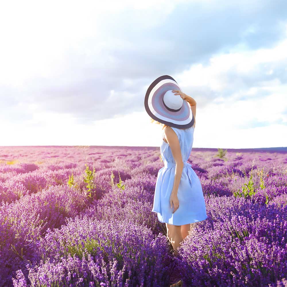 [비에이/1일버스] 삿포로 비에이 일일 버스 투어 북해도 홋카이도 현지 여행 유투어버스 이미지 4