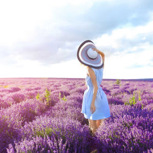 [비에이/1일버스] 삿포로 비에이 일일 버스 투어 북해도 홋카이도 현지 ... 솔직 후기 | 실사용자 리뷰 분석 - 상품 이미지 4