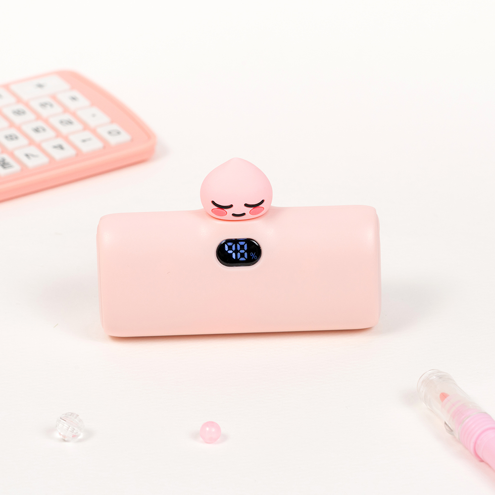 카카오프렌즈 빼꼼 도킹형 20W 보조배터리 5000mAh (C타입) 어피치 - 상품 이미지