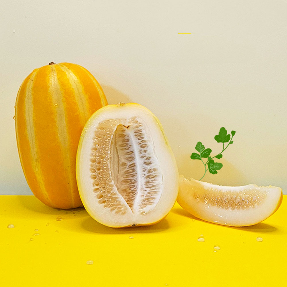 성주참외 꿀참외 못난이 가정용 참외 2kg 3kg