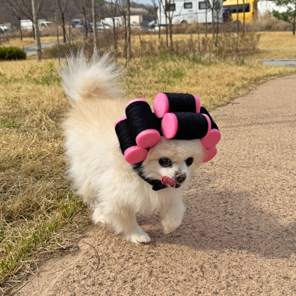 파마 헤어롤 고데기 펫 모자 강아지 고양이 가발 머리띠 할로윈 코스튬 옷 - 상세 이미지 5