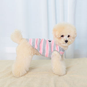 강아지봄옷 강아지나시 펫츠랜드 단가라봉봉티셔츠 솔직 후기 | 실제 사용자 리뷰 총정리 - 상품 이미지 1