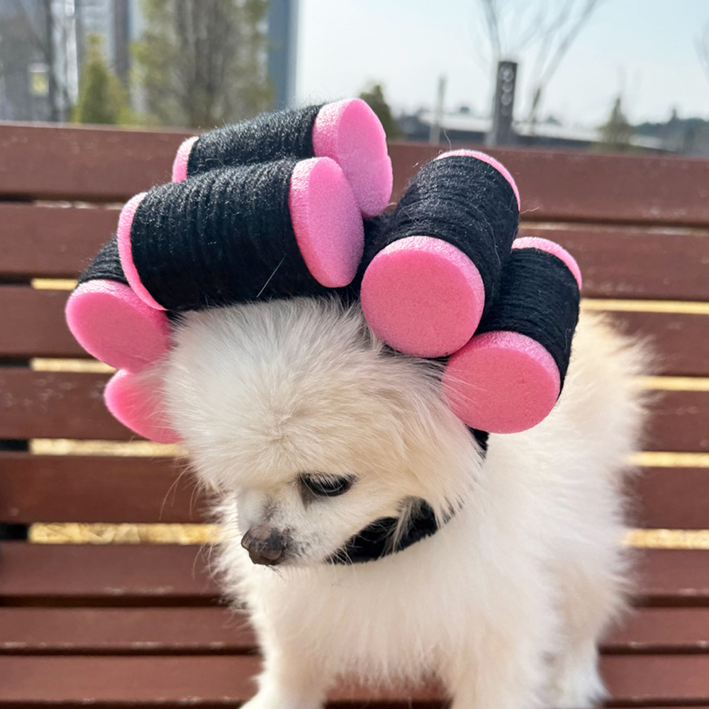 파마 헤어롤 고데기 펫 모자 강아지 고양이 가발 머리띠 할로윈 코스튬 옷 - 상세 이미지 3