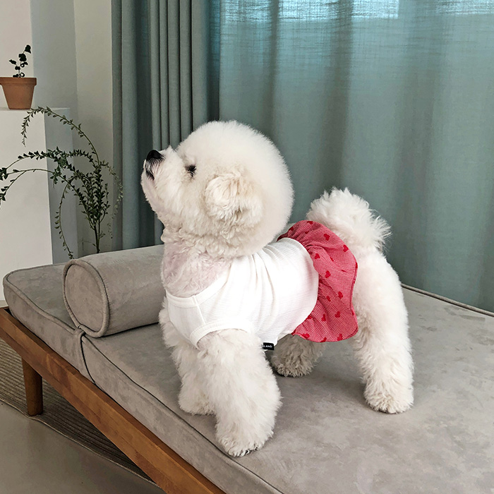 강아지드레스 강아지옷 하트하트원피스 - 상품 이미지