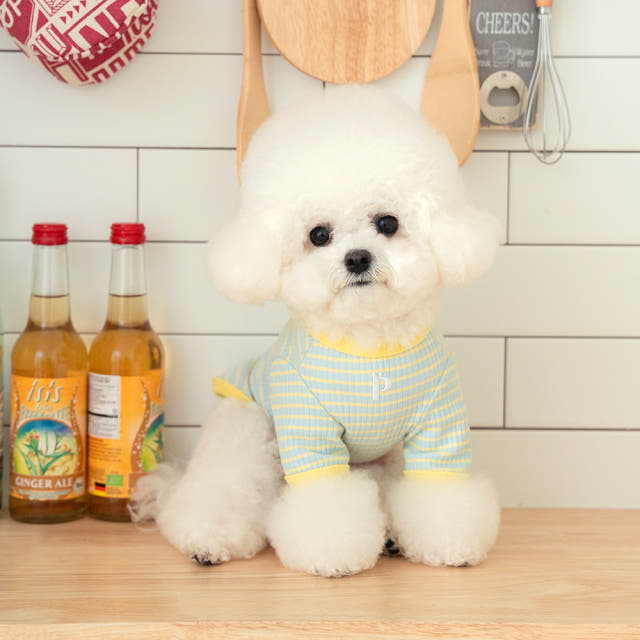 강아지옷 강아지 실내복 봄옷 앨리스 티셔츠