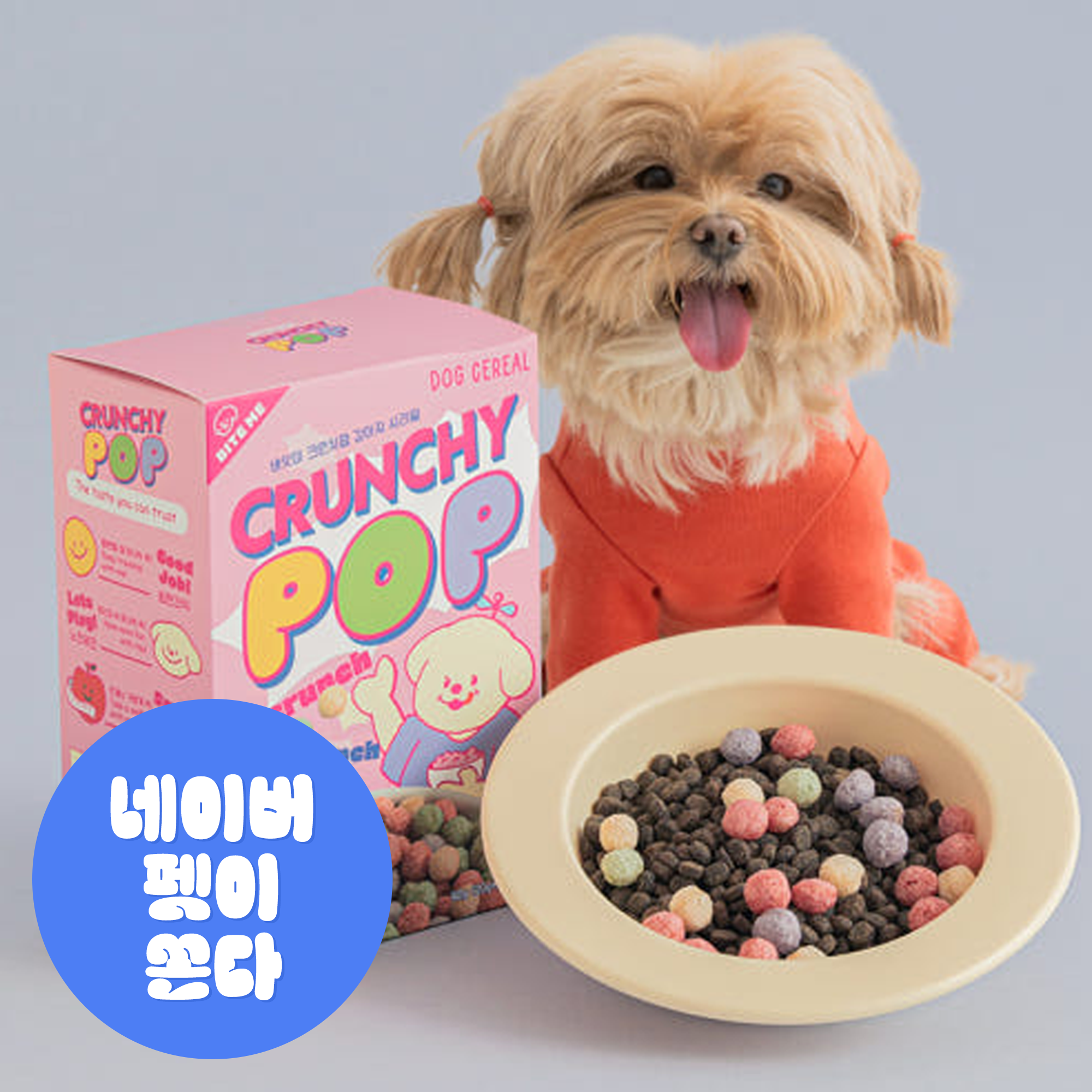 바잇미 강아지시리얼 과자 강아지비스킷 뻥튀기 쿠키 솔직 후기 | 실제 사용자 리뷰 총정리 - 대표 이미지