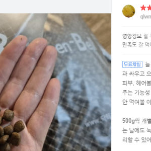 그린벨씨푸드플러스 고양이사료5kg 솔직 후기 | 실제 사용자 리뷰 총정리 - 상품 이미지 3