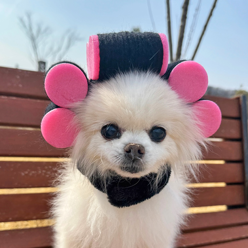 파마 헤어롤 고데기 펫 모자 강아지 고양이 가발 머리띠 할로윈 코스튬 옷 - 상세 이미지 2