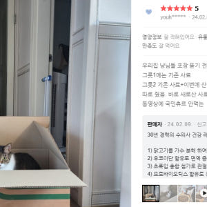 닥터그린벨캣 장&면역 5kg 고양이 면역력 장건강 사료 솔직 후기 | 실제 사용자 리뷰 총정리 - 상품 이미지 3