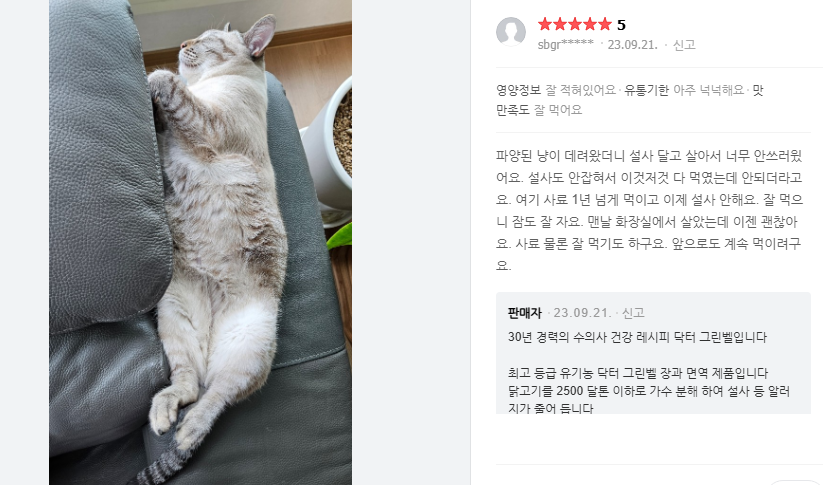 닥터그린벨캣 장&면역 5kg 고양이 면역력 장건강 사료 이미지 4
