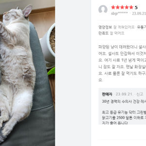 닥터그린벨캣 장&면역 5kg 고양이 면역력 장건강 사료 솔직 후기 | 실제 사용자 리뷰 총정리 - 상품 이미지 4