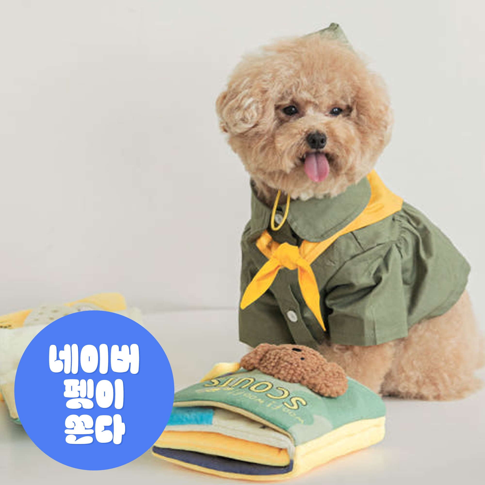 1+1 강아지 노즈워크 장난감 삑삑이 반려견 훈련 애견 놀이