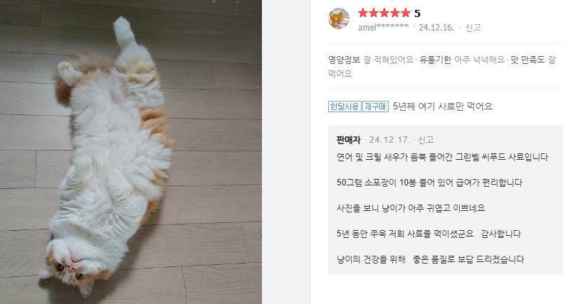 그린벨씨푸드플러스 고양이사료5kg 이미지 4